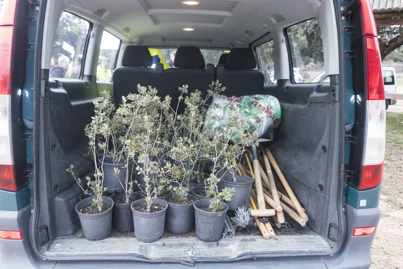 El lugar elegido en Badajoz para reforestar fue la parte alta del parque que perdió siete hectáreas en el incendio de 2017