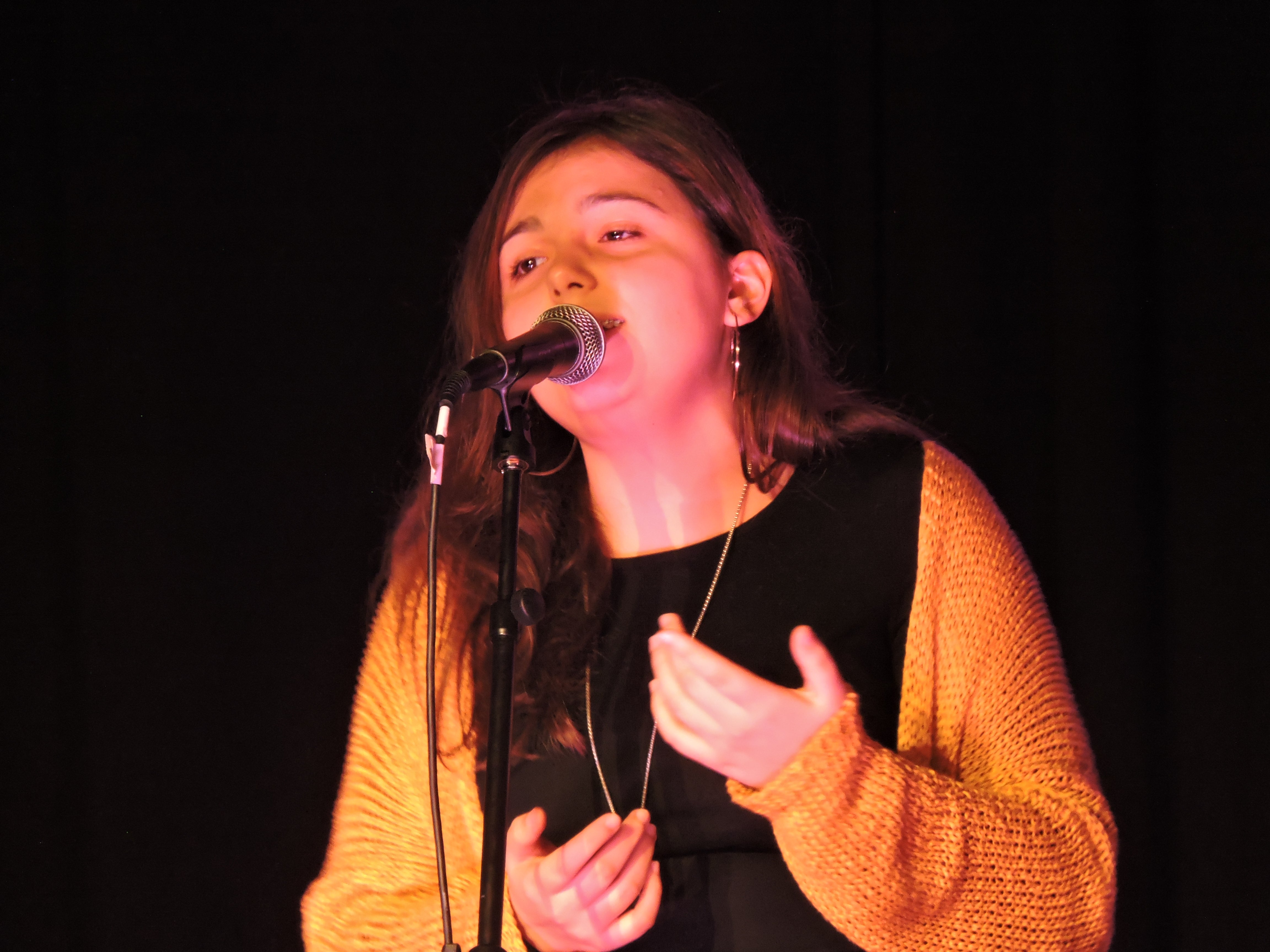 Fotos: Festival de la Solidaridad 2019 parte 1