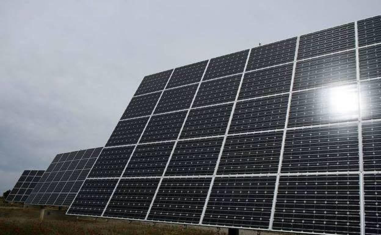 El parque fotovoltaico de Talayuela se iniciará el 15 de enero