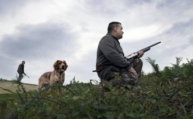 El descenso de liebres marca la temporada de caza menor en Extremadura