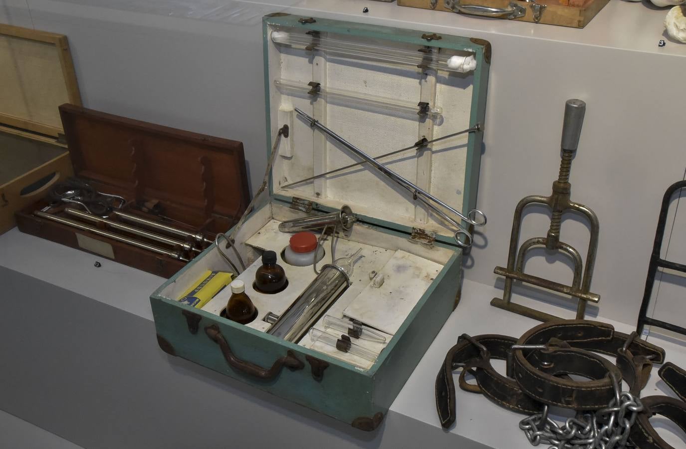 Fotos: El Museo de Veterinarios abrirá los fines de semana a todos los públicos