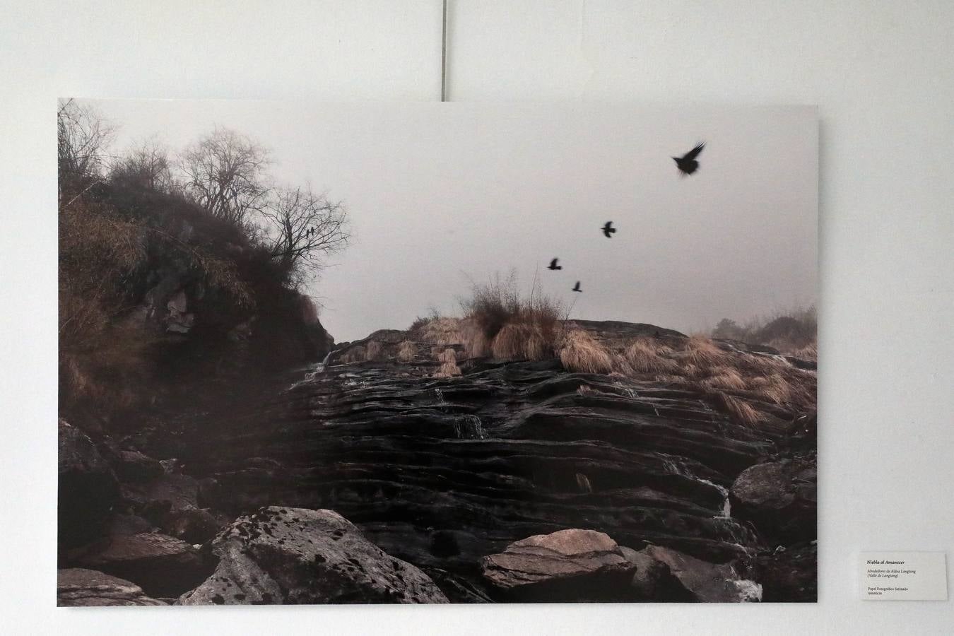 Fotos: La exposición &#039;Tamang&#039; del artista cacereño José Vegas