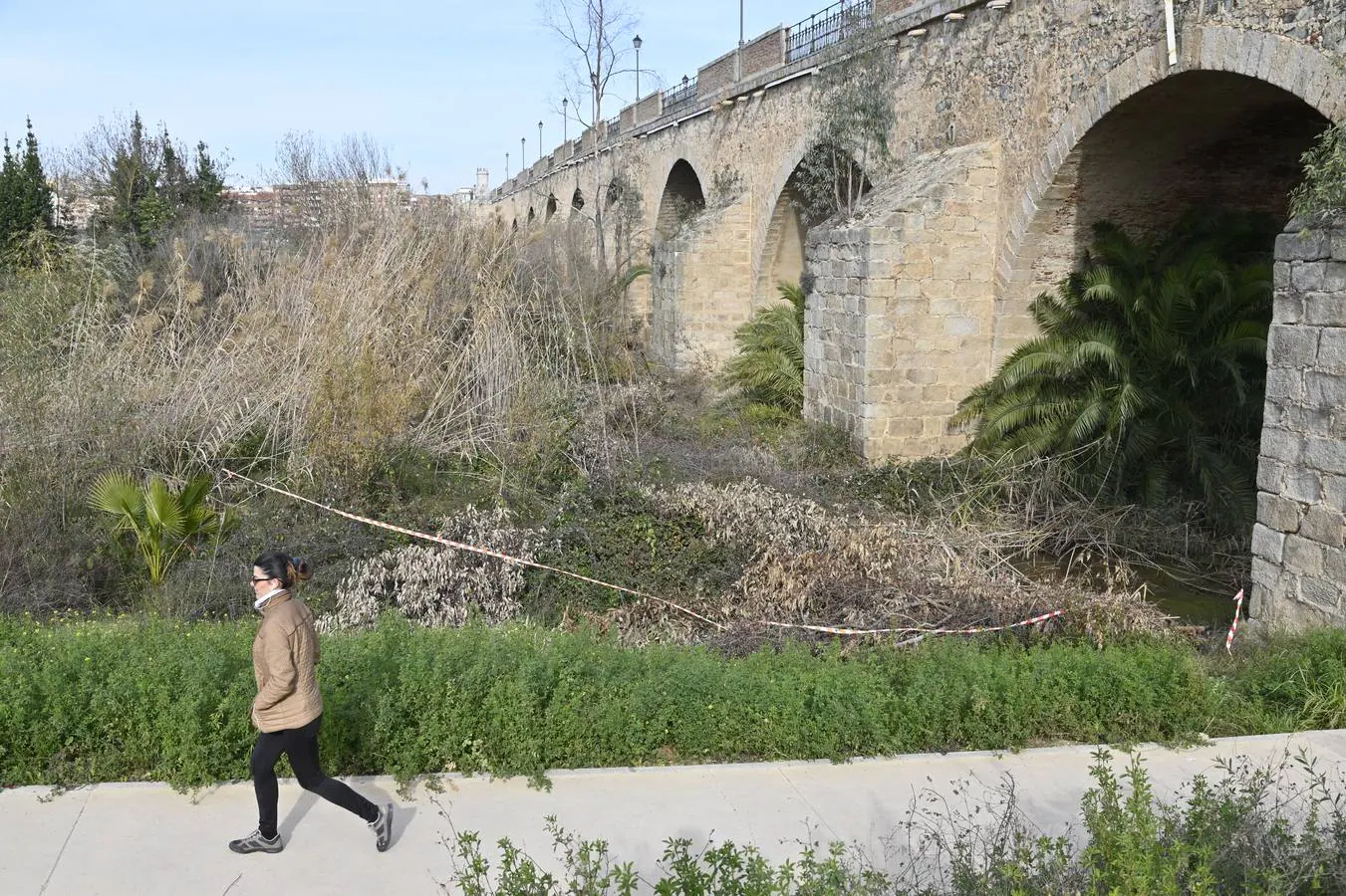 Fotos: La Confederación elimina la vegetación del Puente de Palmas