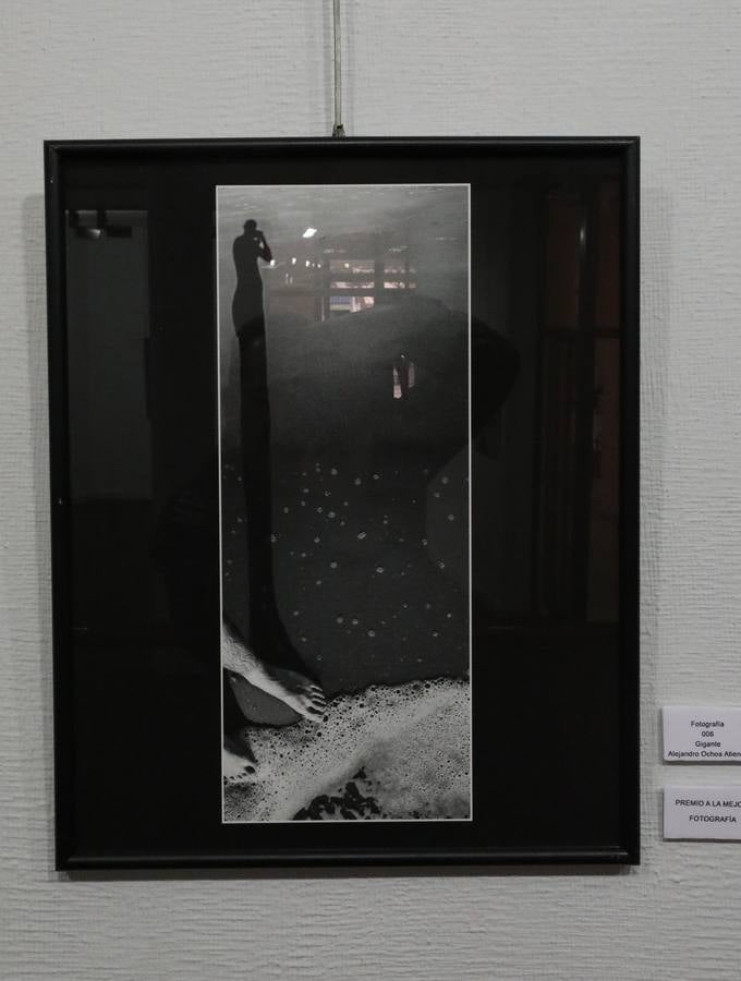 Exposición Jóvenes Creadores JABA 2019