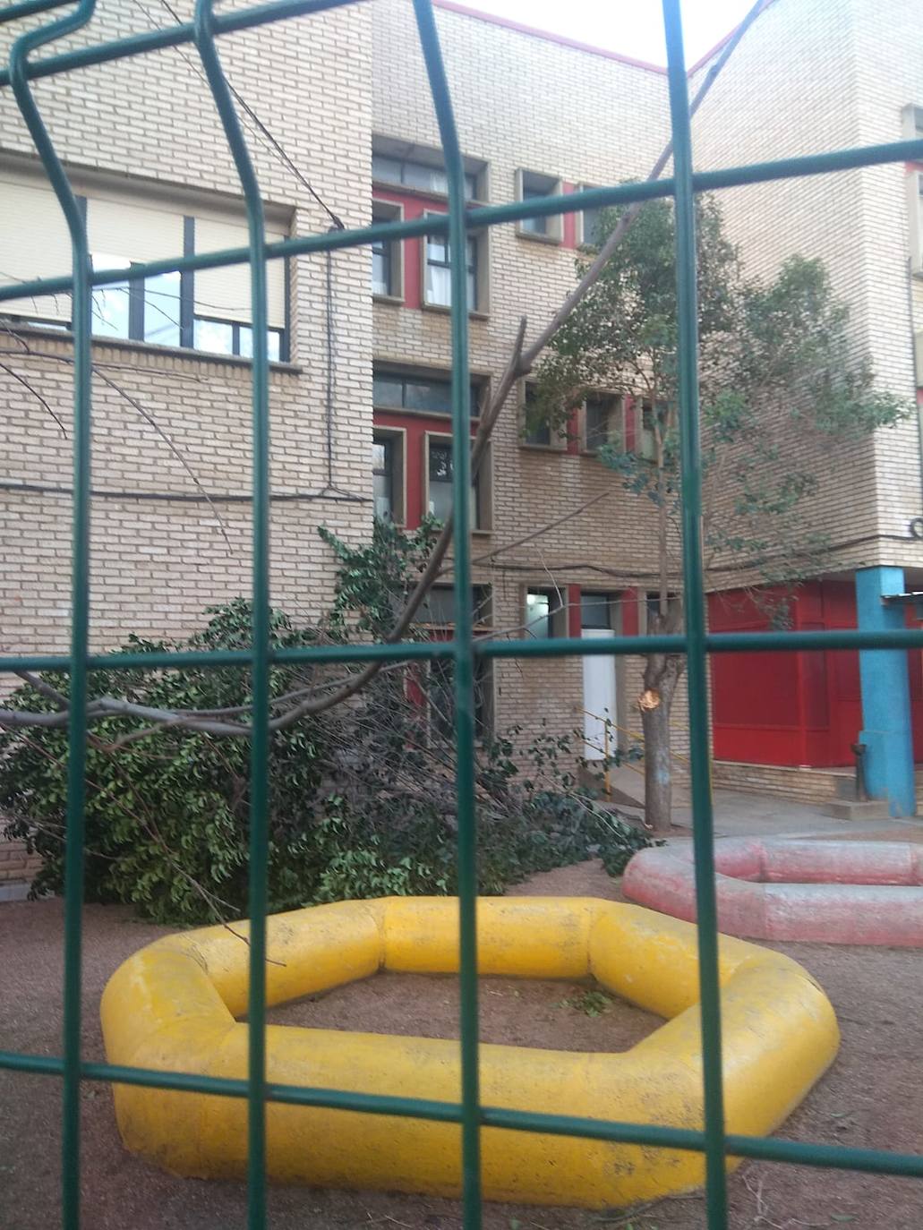 Rama caída en el patio del colegio Juan Vázquez de Badajoz.