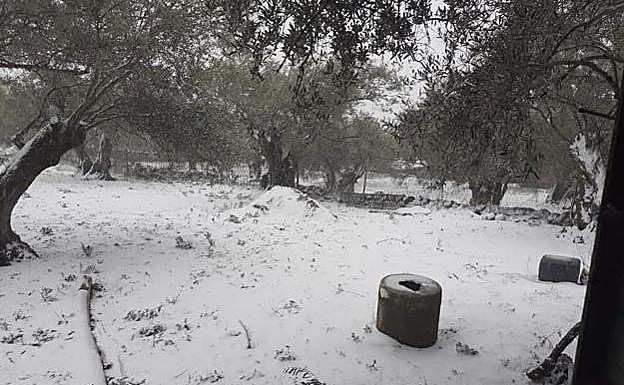 Imagen. Nevada en Las Villuercas:: SOL GÓMEZ