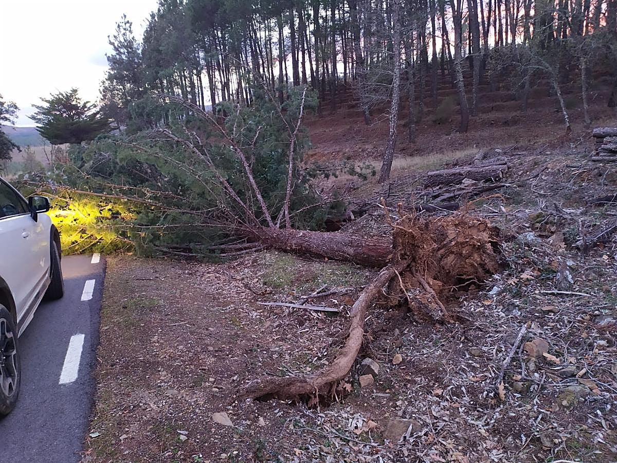 Fotos: Las consecuencias del paso de la borrasca &#039;Gloria&#039; por la región