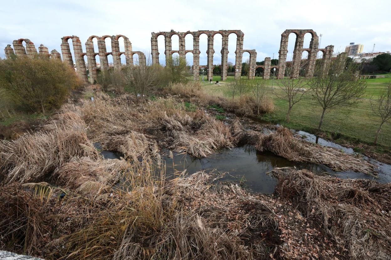 Tramo del Albarregas entre el puente romano y el acueducto de los Milagros. :: brígido