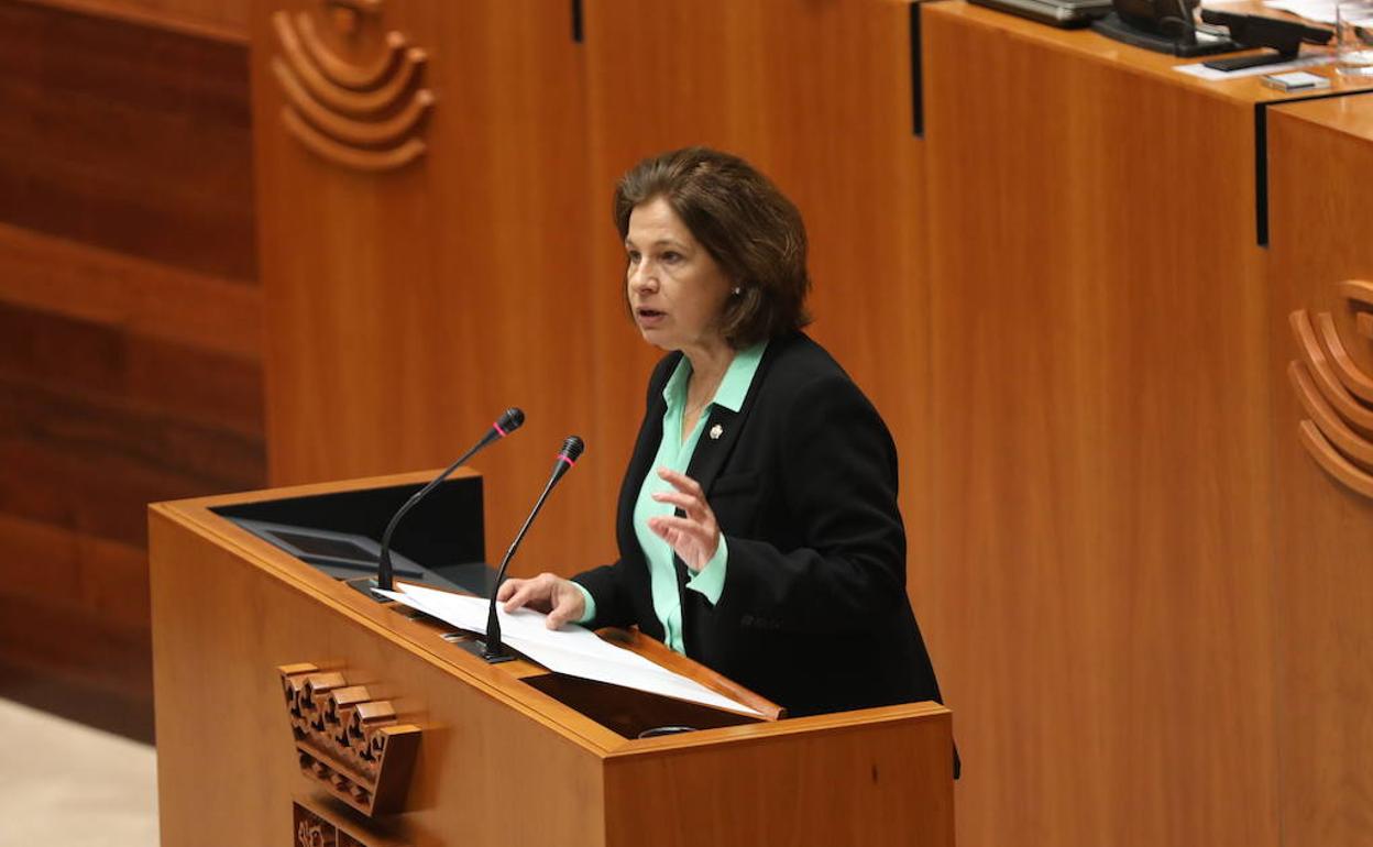 Pilar Blanco-Morales ha defendido la nueva Ley de Colegios y de Consejos de Colegios Profesionales.