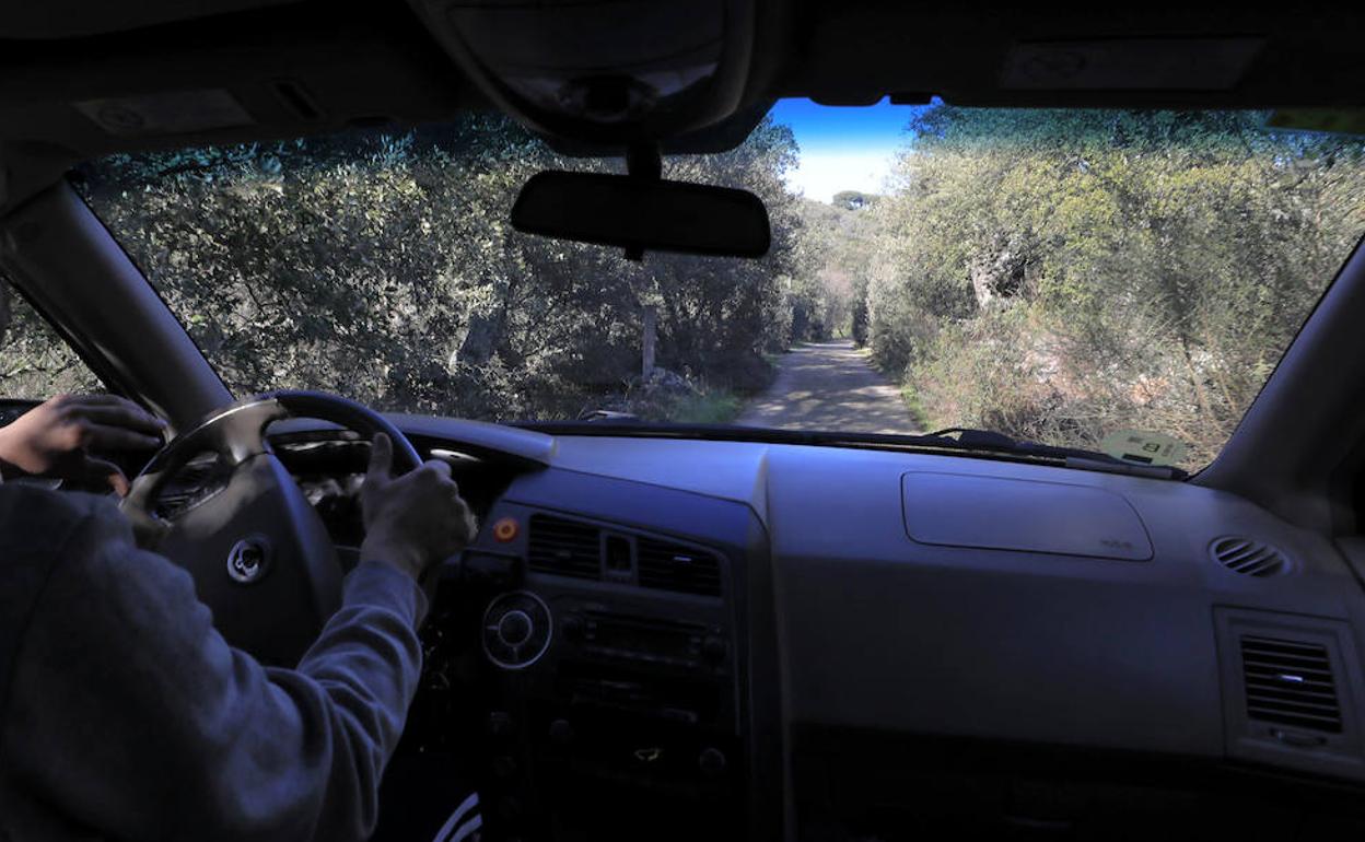 Un conductor trata de abrirse paso con su coche por un camino sinuoso en el que además la maleza apenas permite visibilidad.