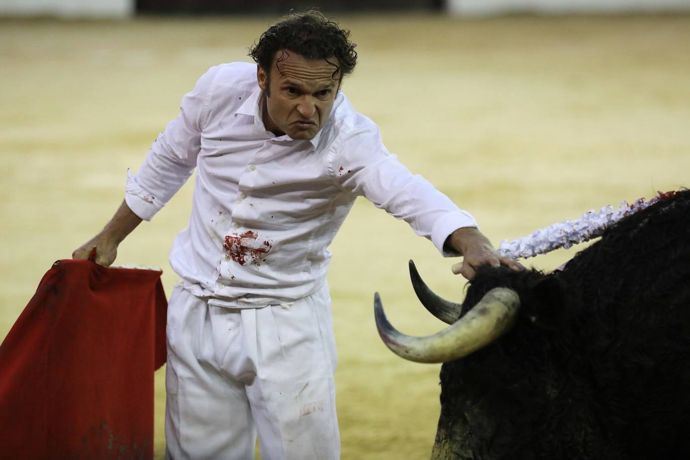 Fotos: Antonio Ferrera corta una oreja y sufre una cogida en Bogotá