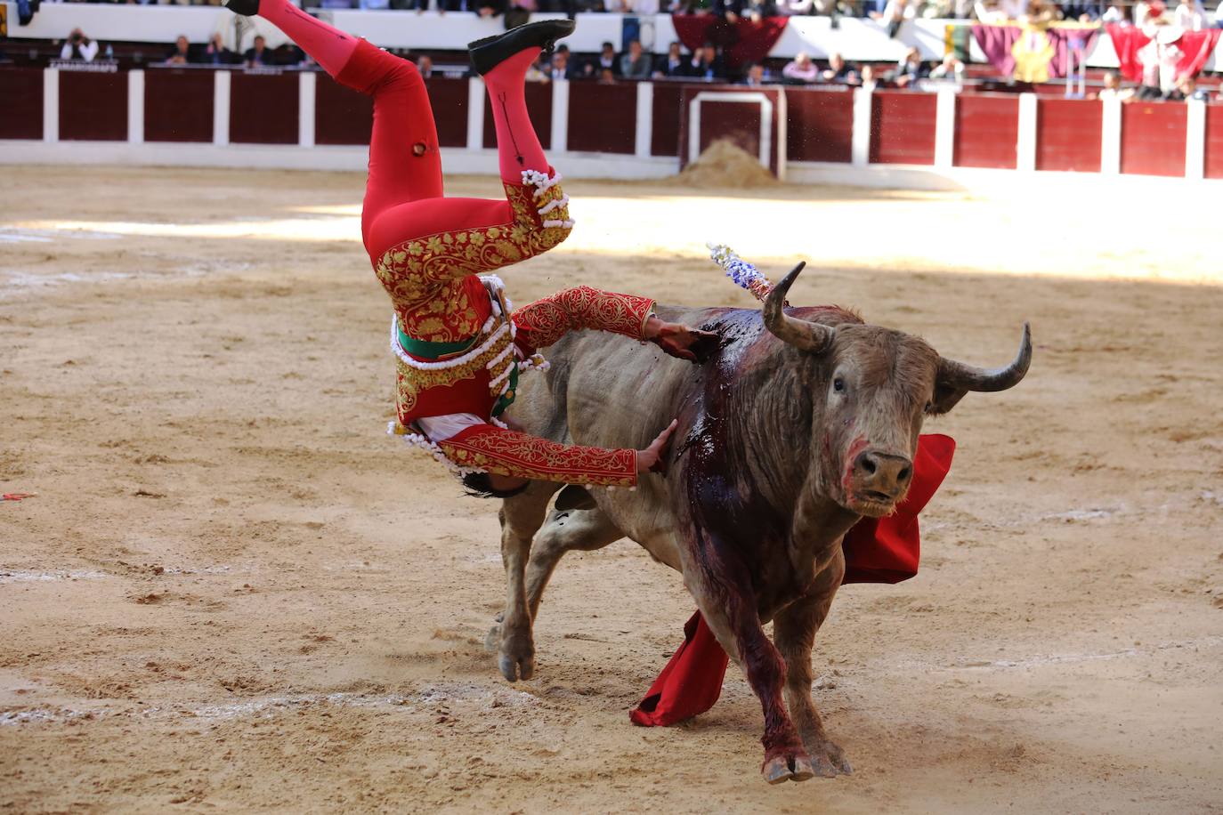 Fotos: Antonio Ferrera corta una oreja y sufre una cogida en Bogotá