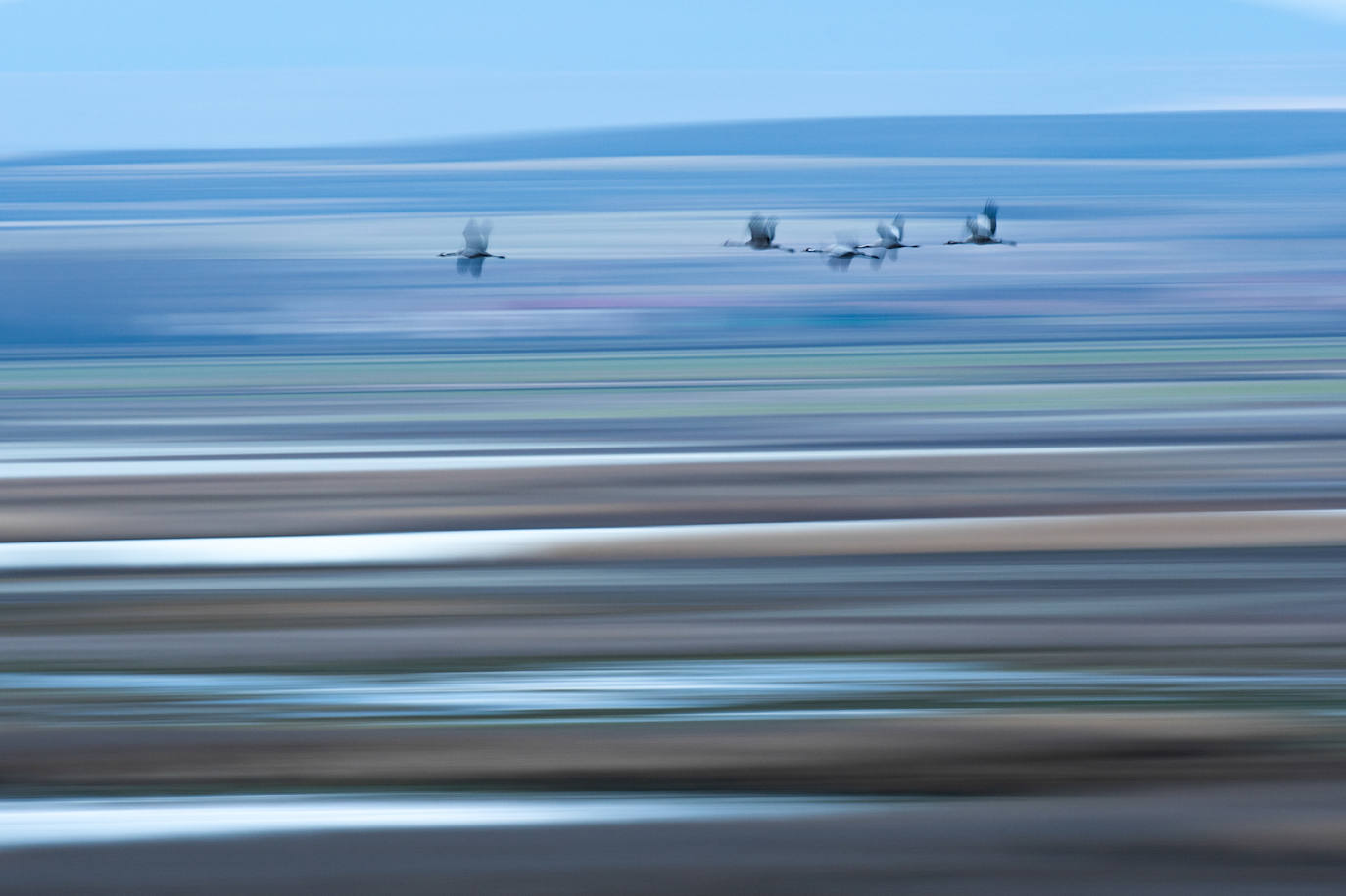 Fotos: El concurso fotográfico de FIO anuncia sus ganadores