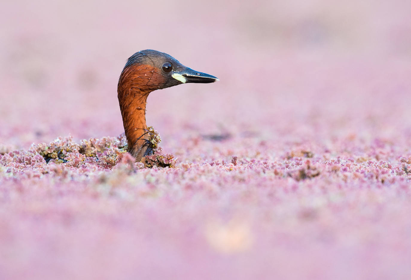 Fotos: El concurso fotográfico de FIO anuncia sus ganadores