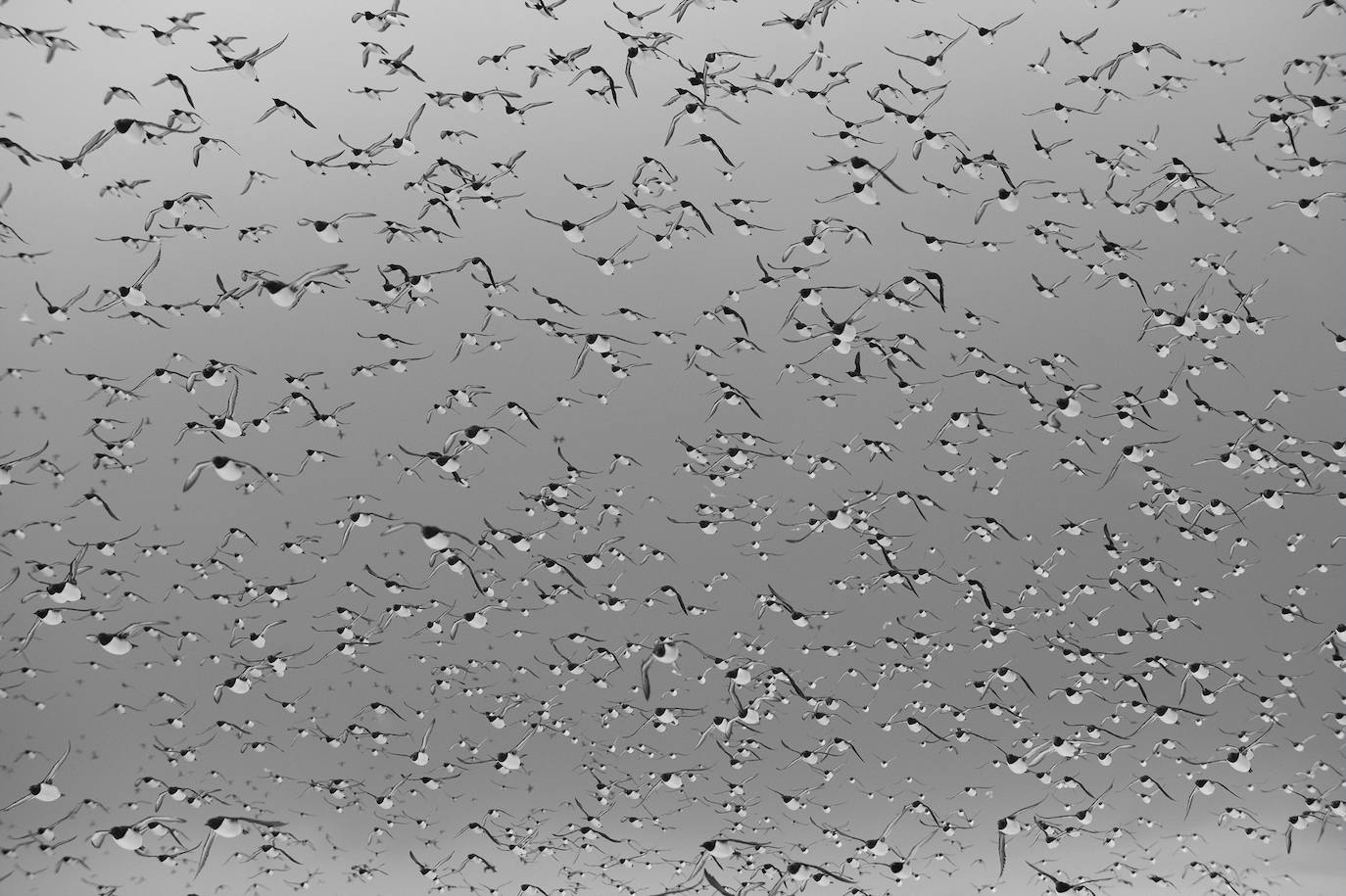 Fotos: El concurso fotográfico de FIO anuncia sus ganadores