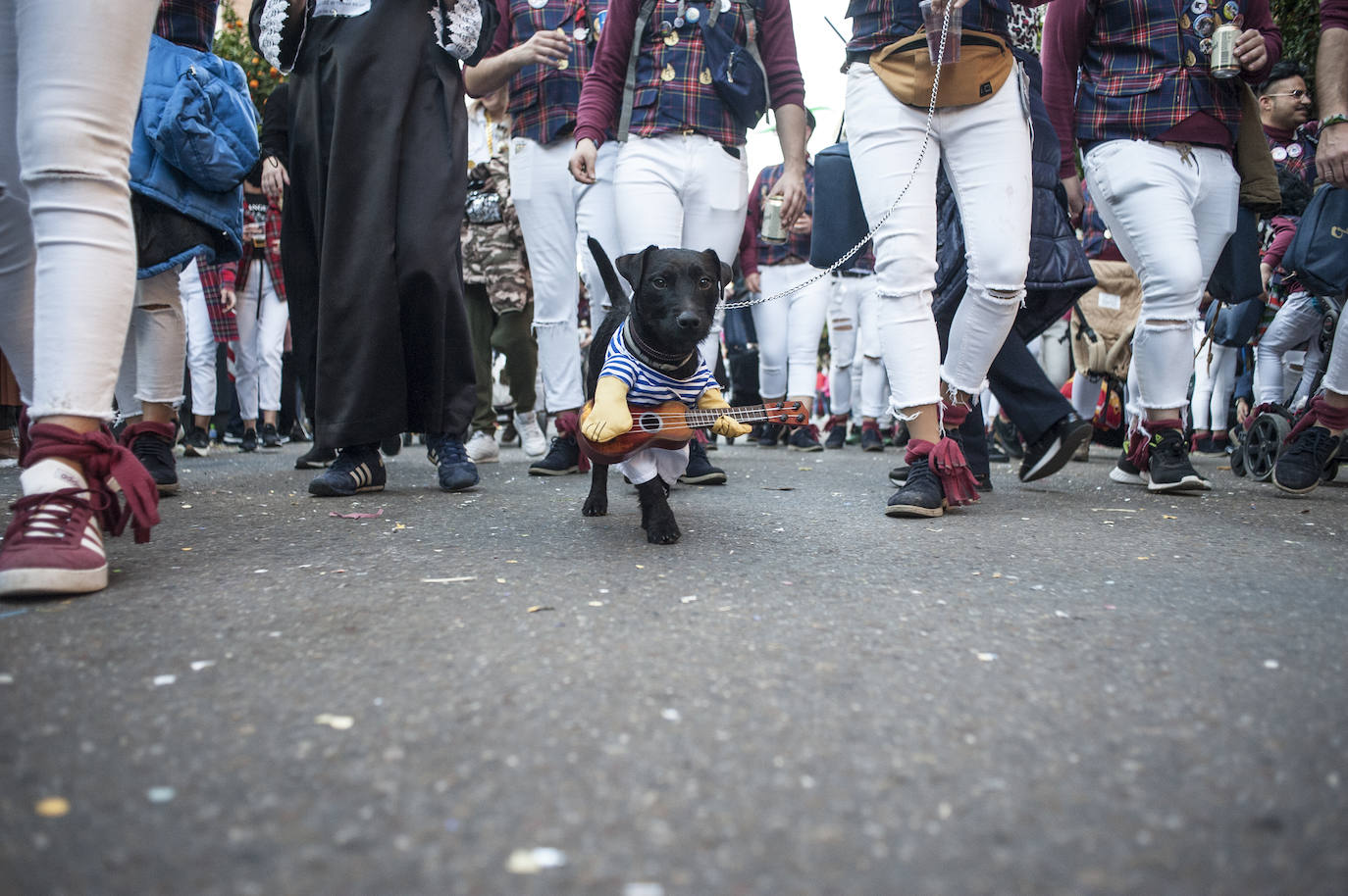 Fotos: Las mejores fotos del desfile de Carnaval de Badajoz (2)