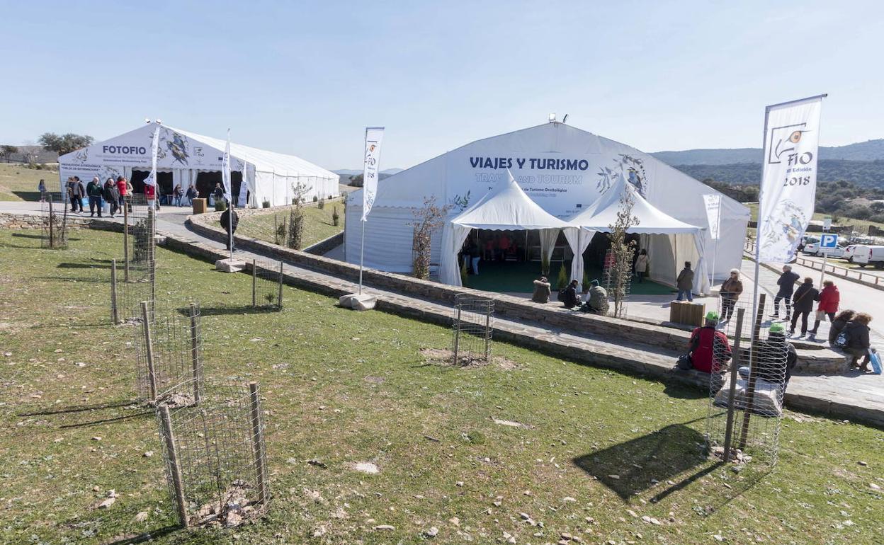 Transporte gratuito para visitar la FIO de Monfragüe