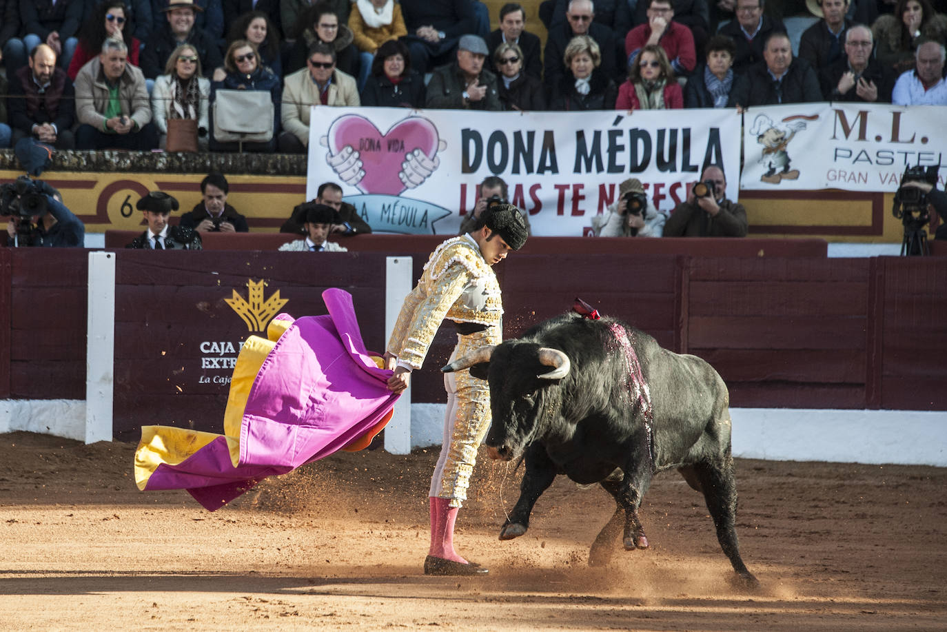 Fotos: Novillada, primera de abono de la Feria de Olivenza