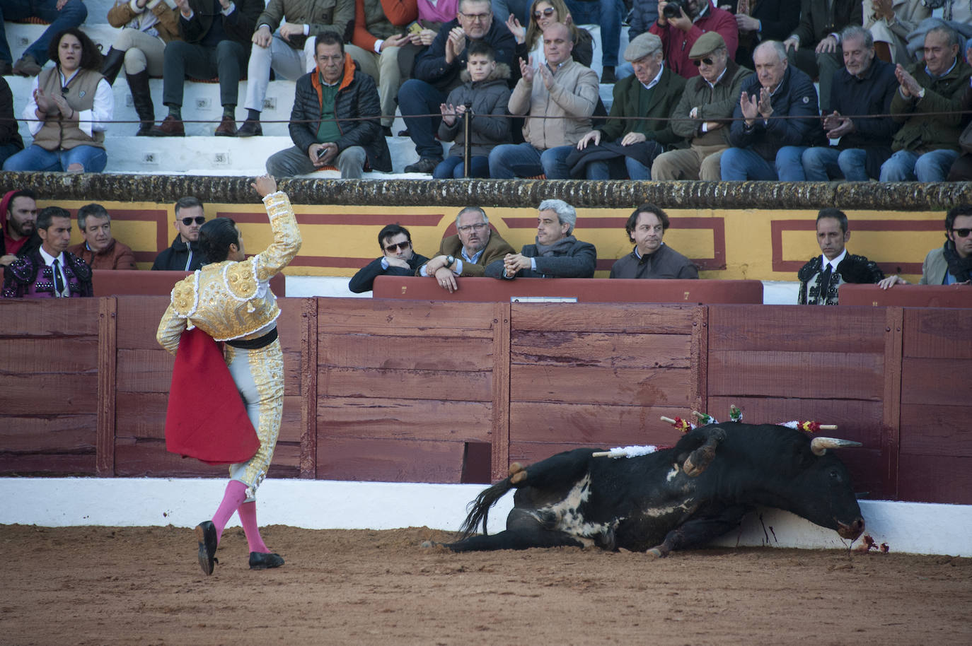 Fotos: Novillada, primera de abono de la Feria de Olivenza