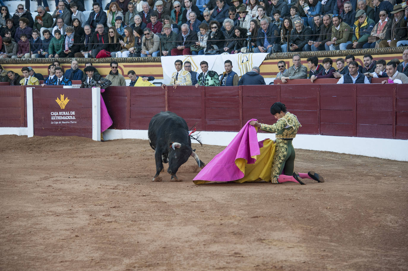 Fotos: Novillada, primera de abono de la Feria de Olivenza