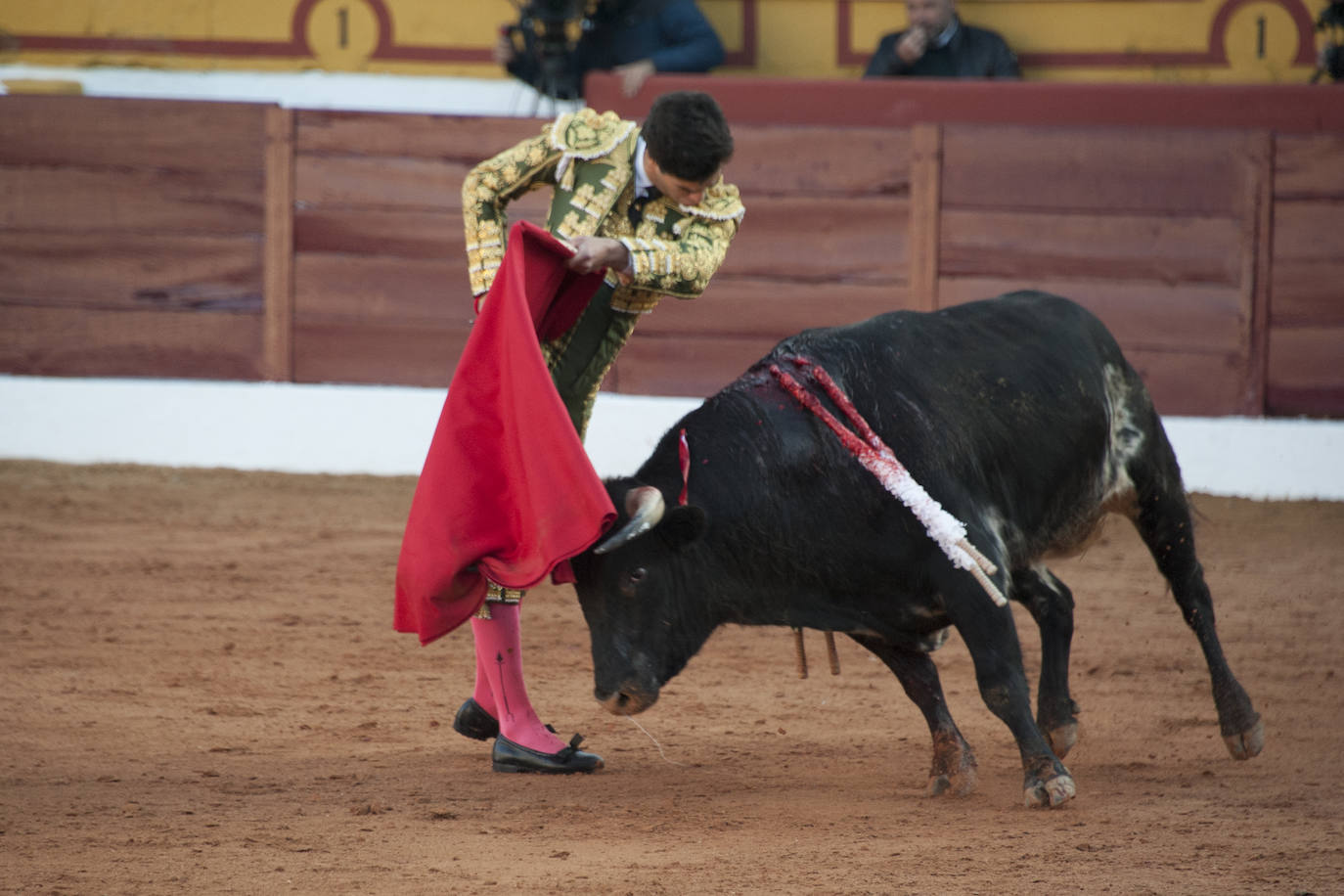 Fotos: Novillada, primera de abono de la Feria de Olivenza