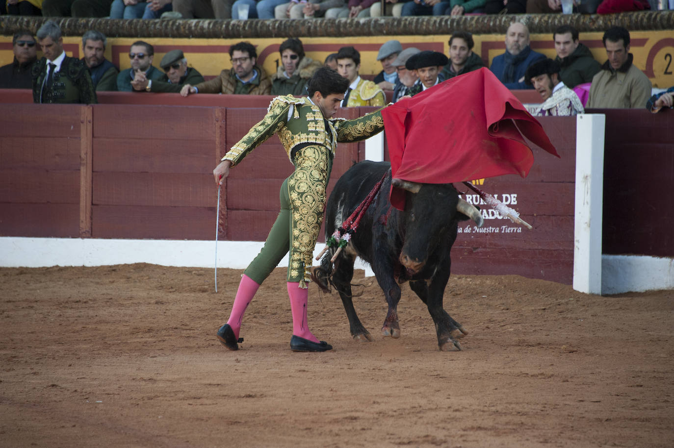 Fotos: Novillada, primera de abono de la Feria de Olivenza