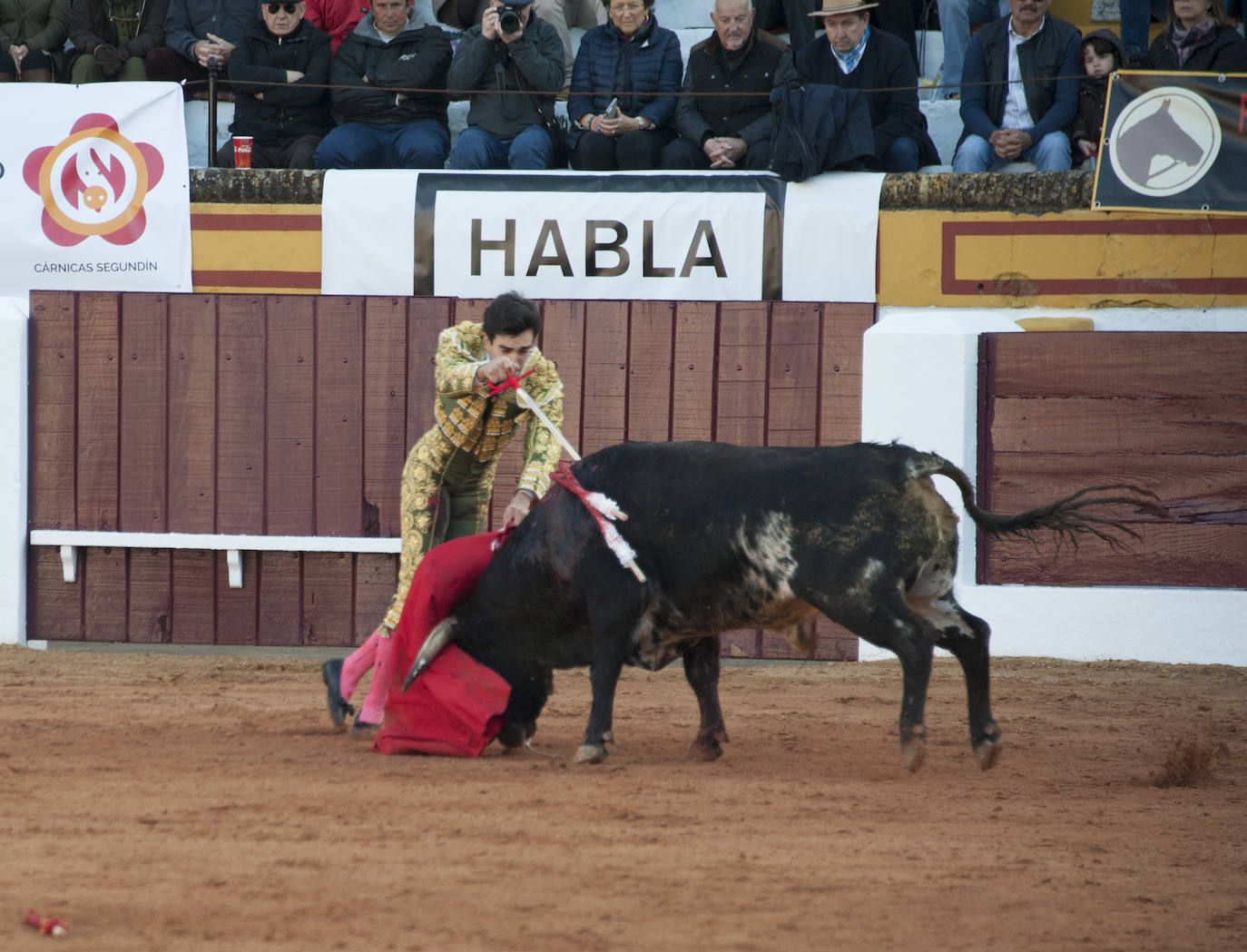 Fotos: Novillada, primera de abono de la Feria de Olivenza