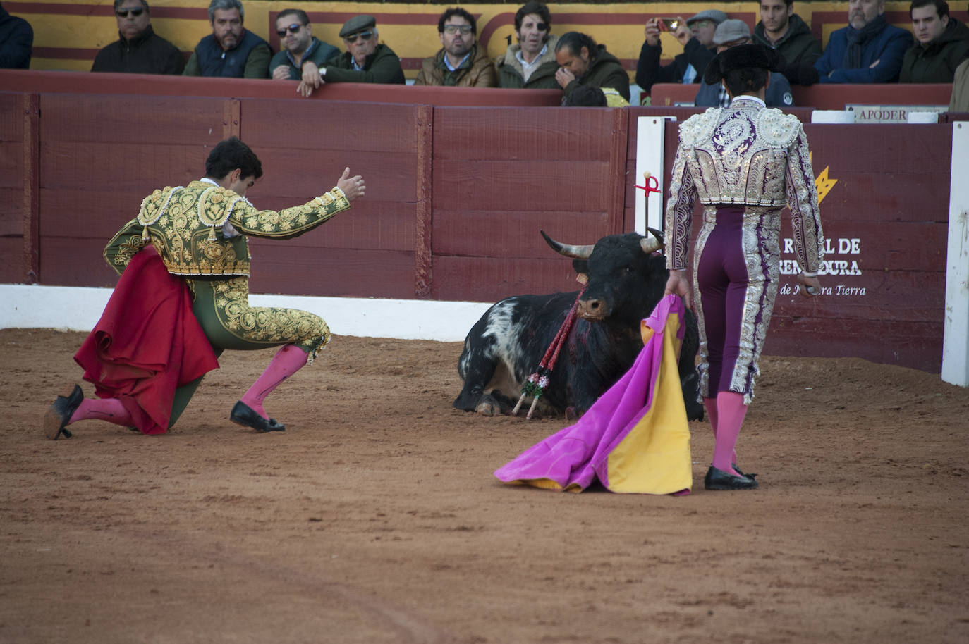 Fotos: Novillada, primera de abono de la Feria de Olivenza