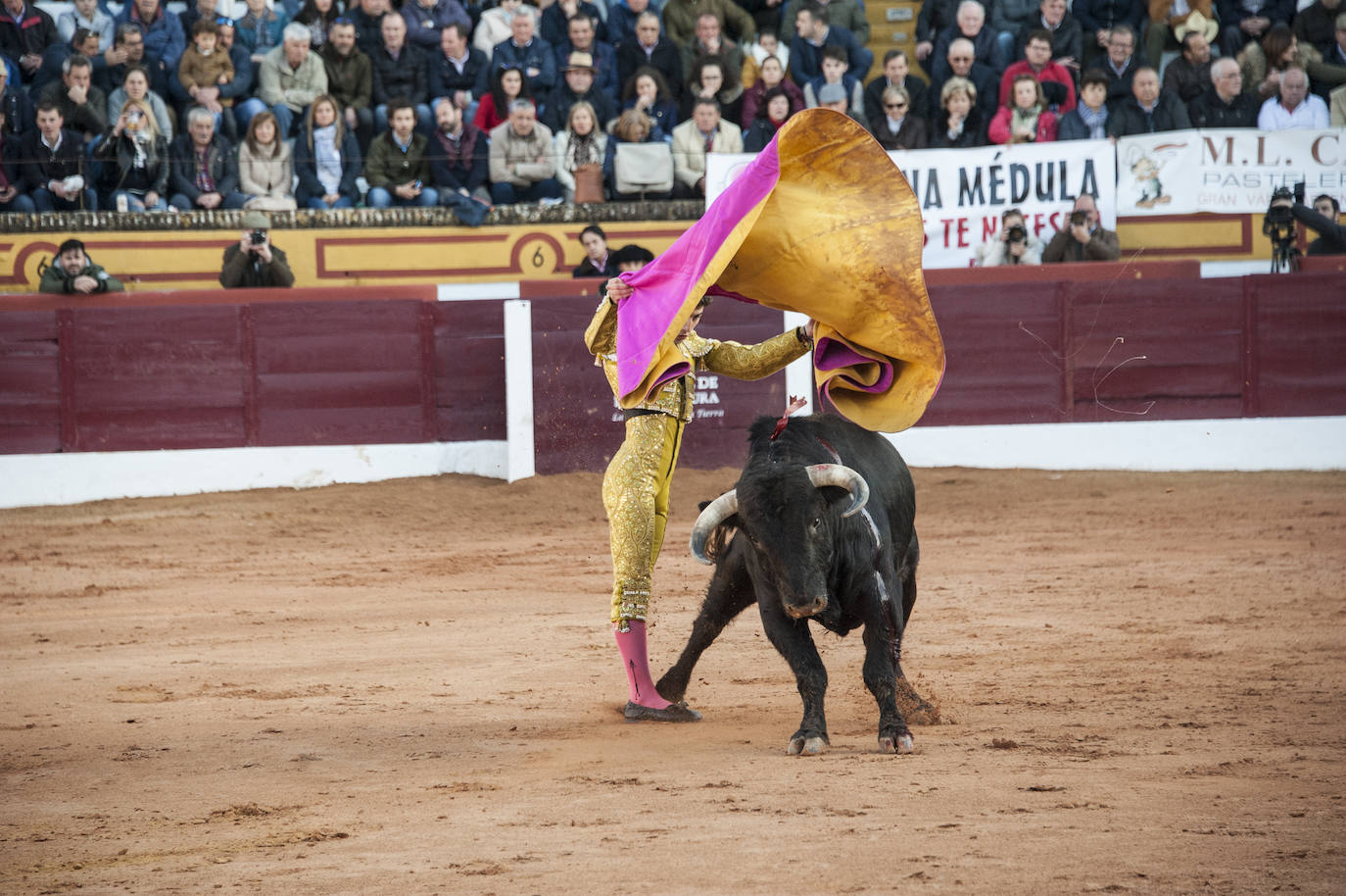 Fotos: Novillada, primera de abono de la Feria de Olivenza