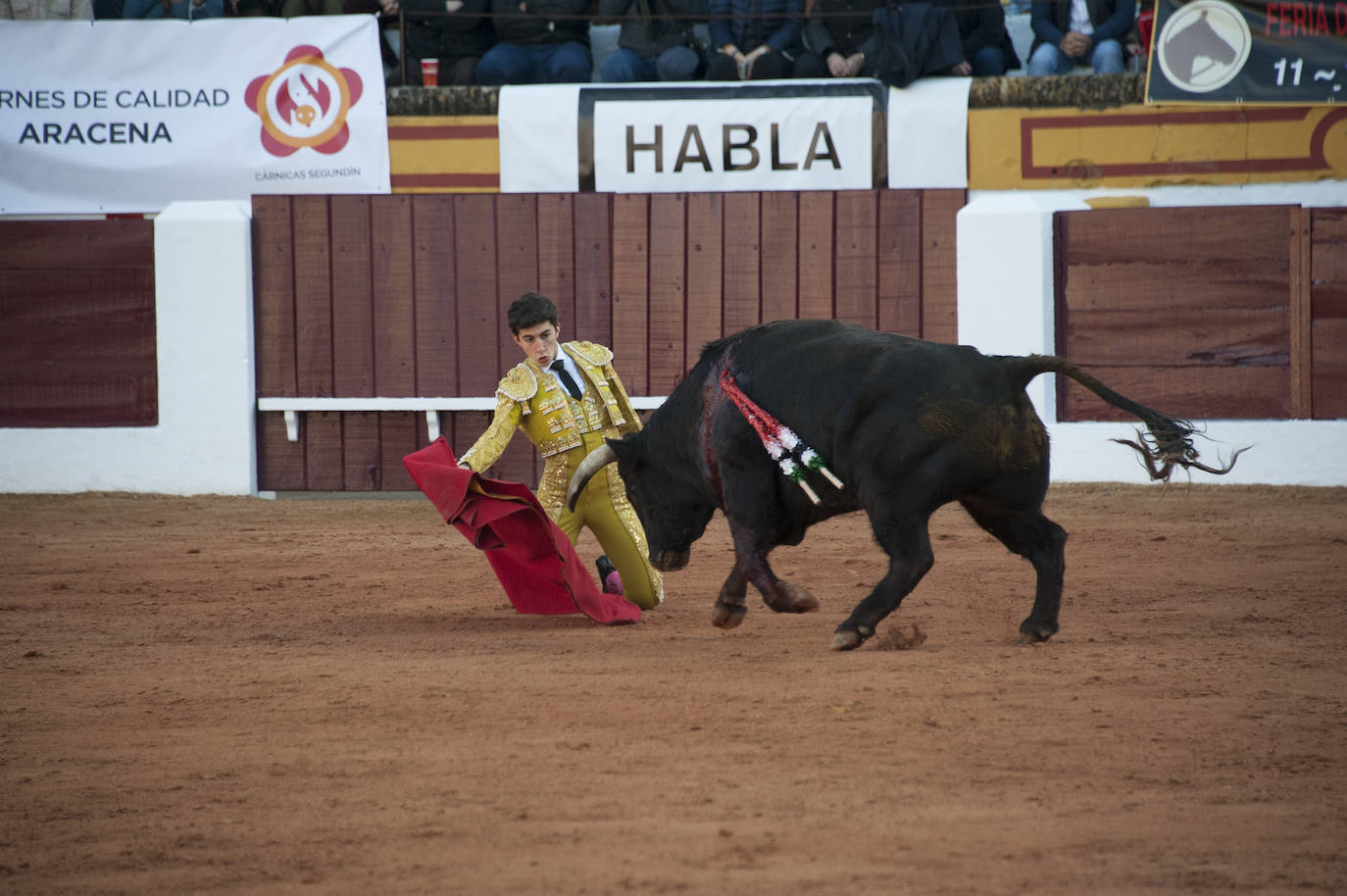 Fotos: Novillada, primera de abono de la Feria de Olivenza