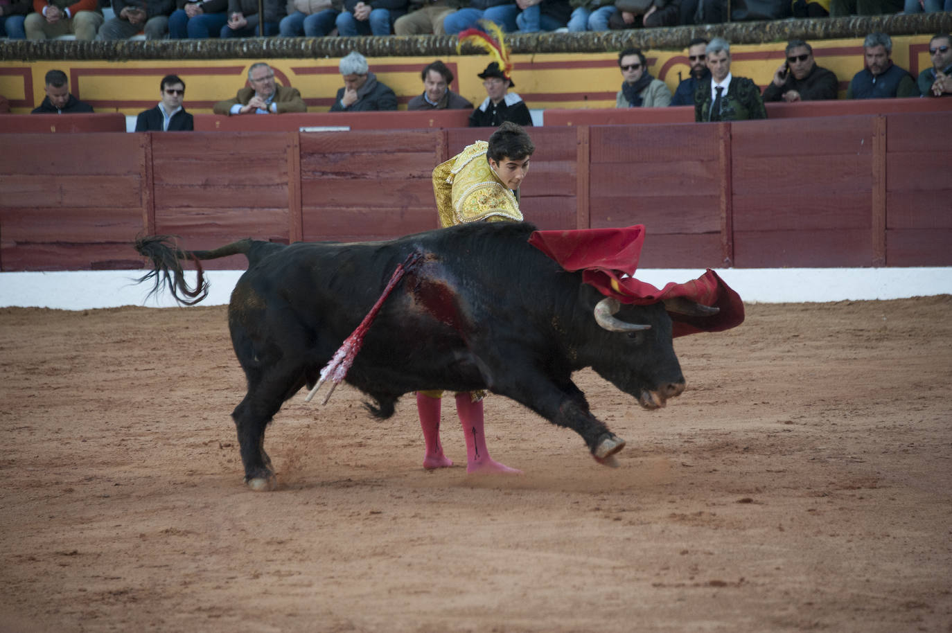 Fotos: Novillada, primera de abono de la Feria de Olivenza