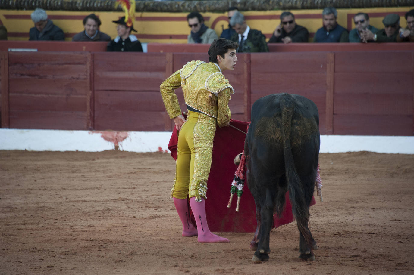 Fotos: Novillada, primera de abono de la Feria de Olivenza