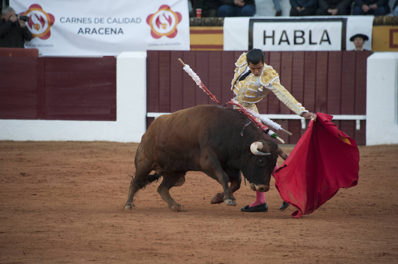 Fotos: Novillada, primera de abono de la Feria de Olivenza