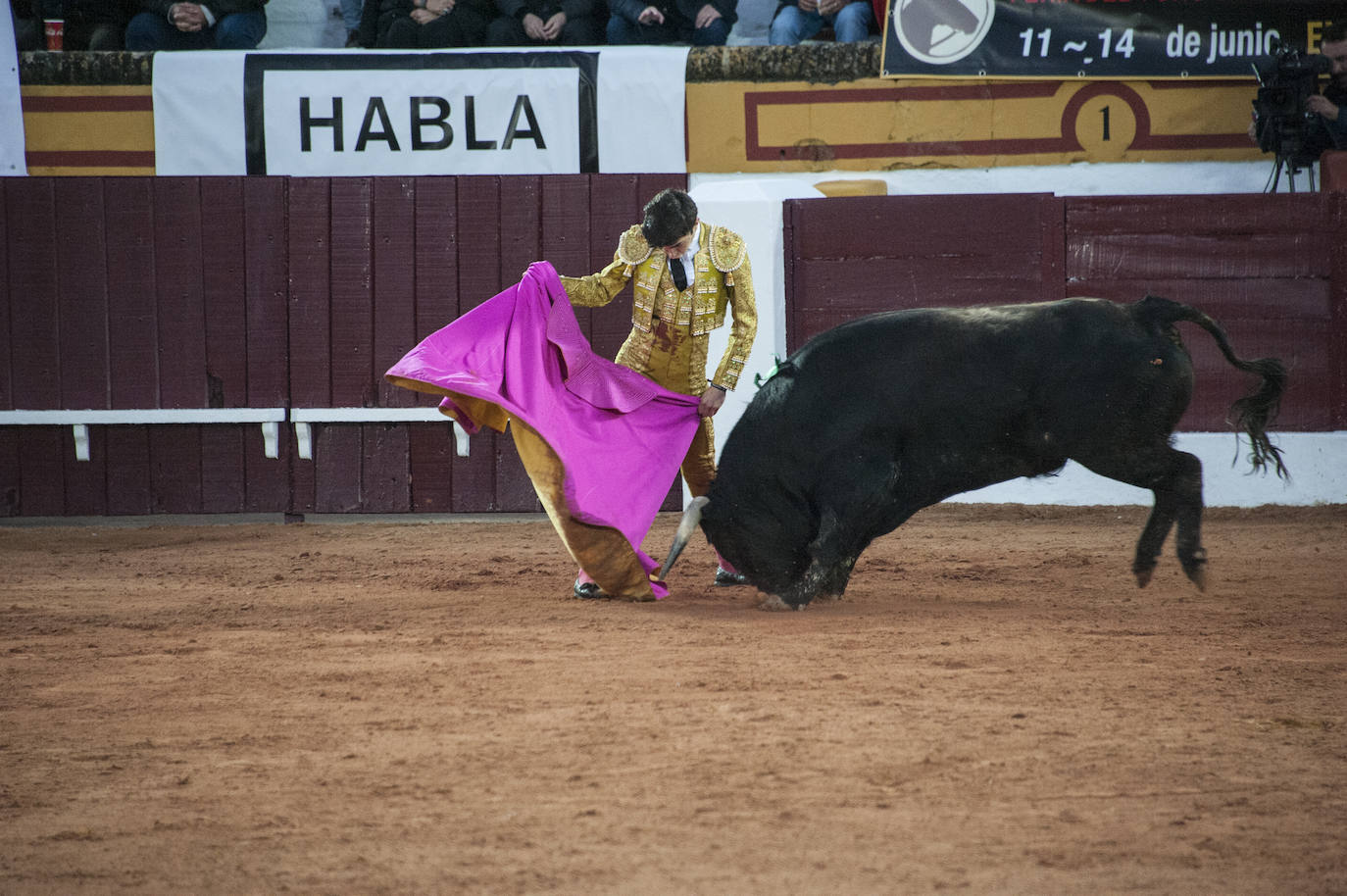 Fotos: Novillada, primera de abono de la Feria de Olivenza