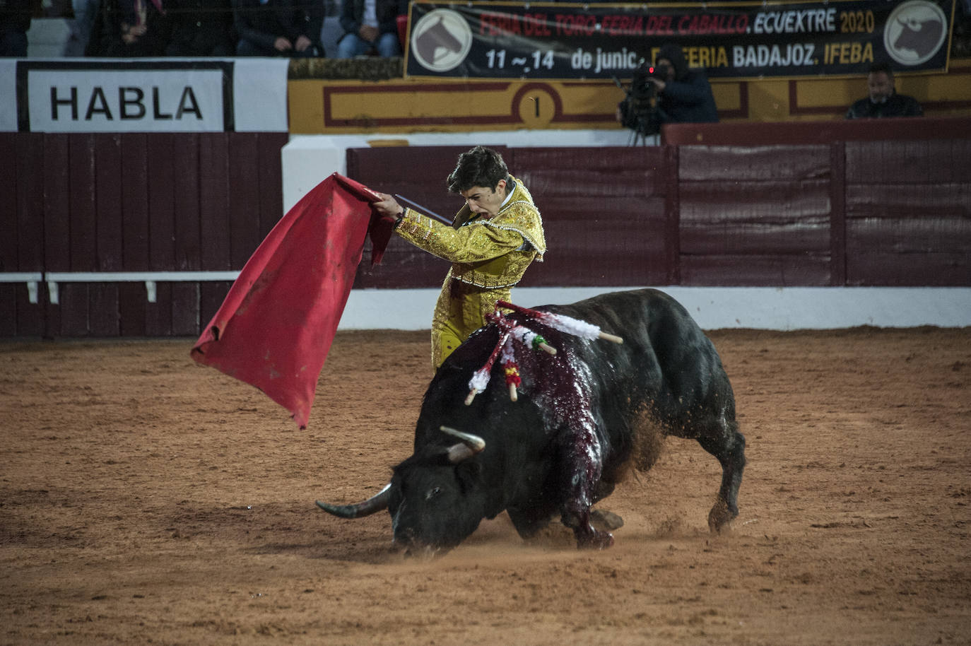 Fotos: Novillada, primera de abono de la Feria de Olivenza