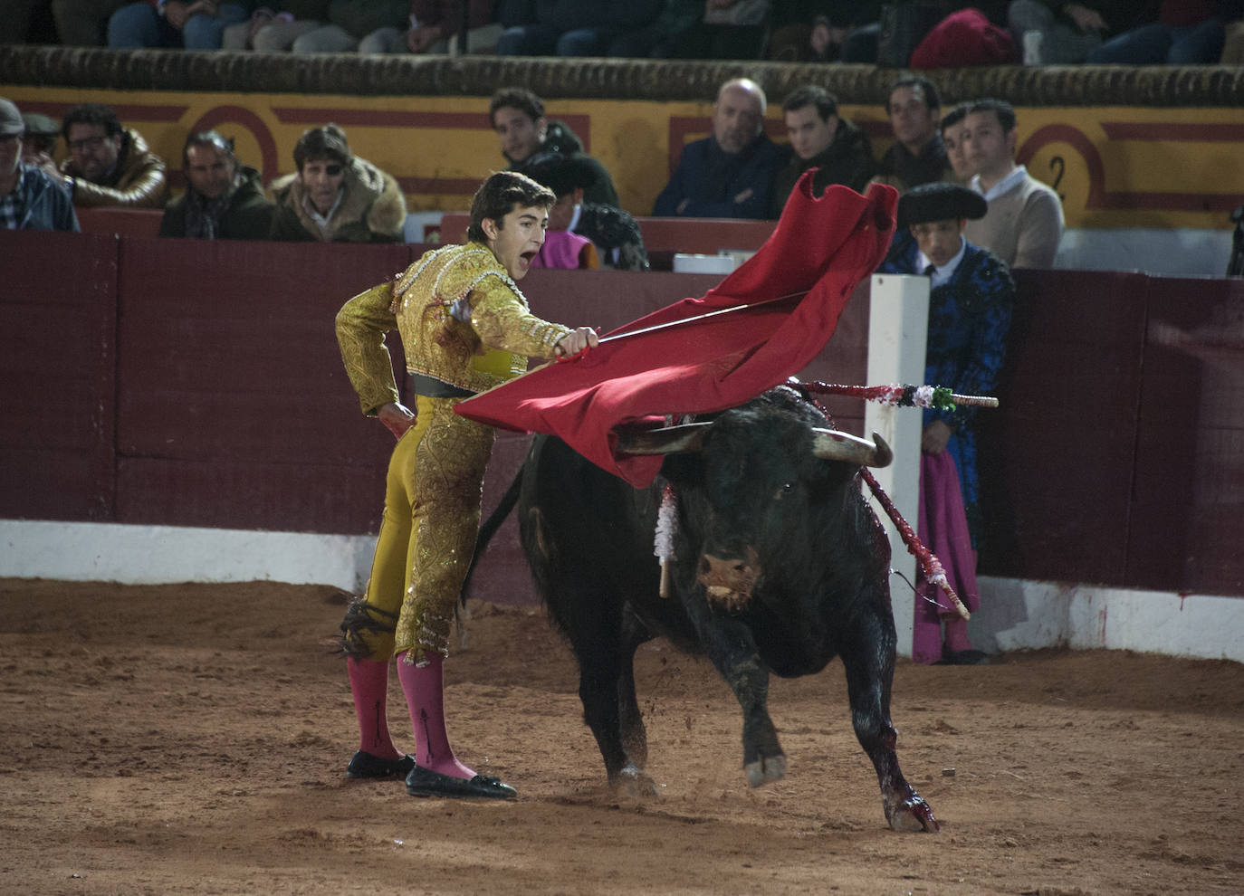 Fotos: Novillada, primera de abono de la Feria de Olivenza