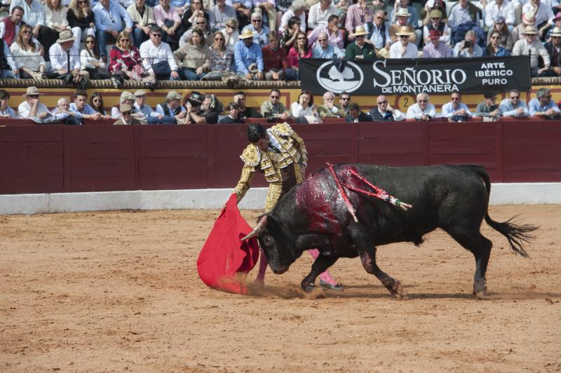 Alarde de torería y valor de Emilio de Justo y Ginés Marín para abrir la puerta grande. 