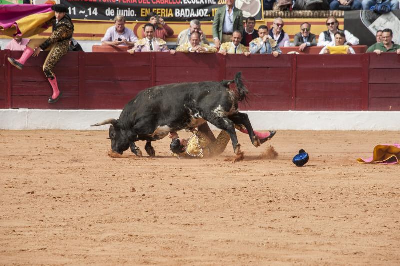 Alarde de torería y valor de Emilio de Justo y Ginés Marín para abrir la puerta grande. 