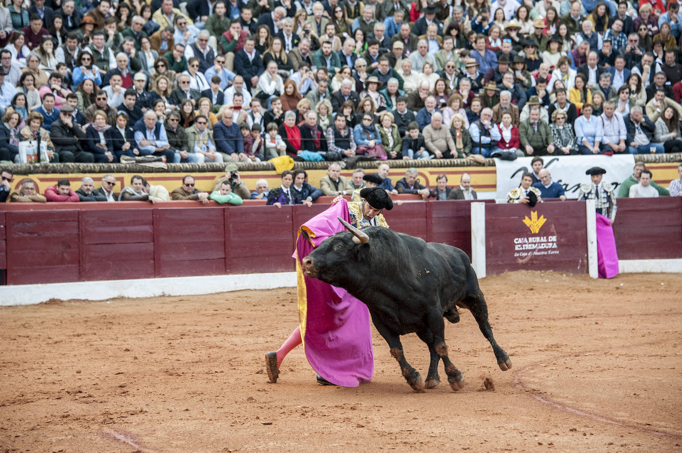 Fotos: Morante, Manzanares y Aguado, en el cuarto festejo de la feria de Olivenza