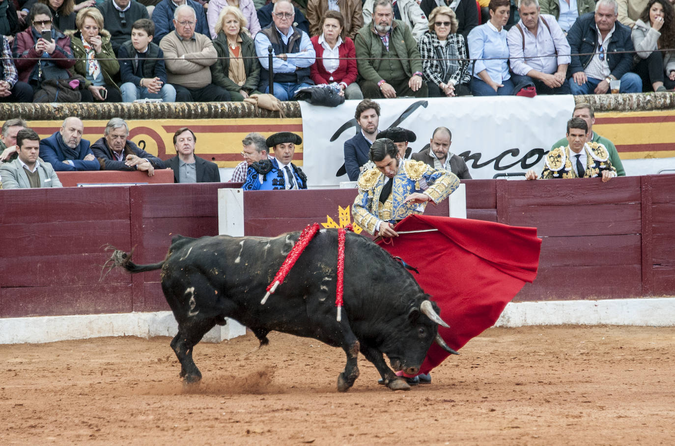 Fotos: Morante, Manzanares y Aguado, en el cuarto festejo de la feria de Olivenza