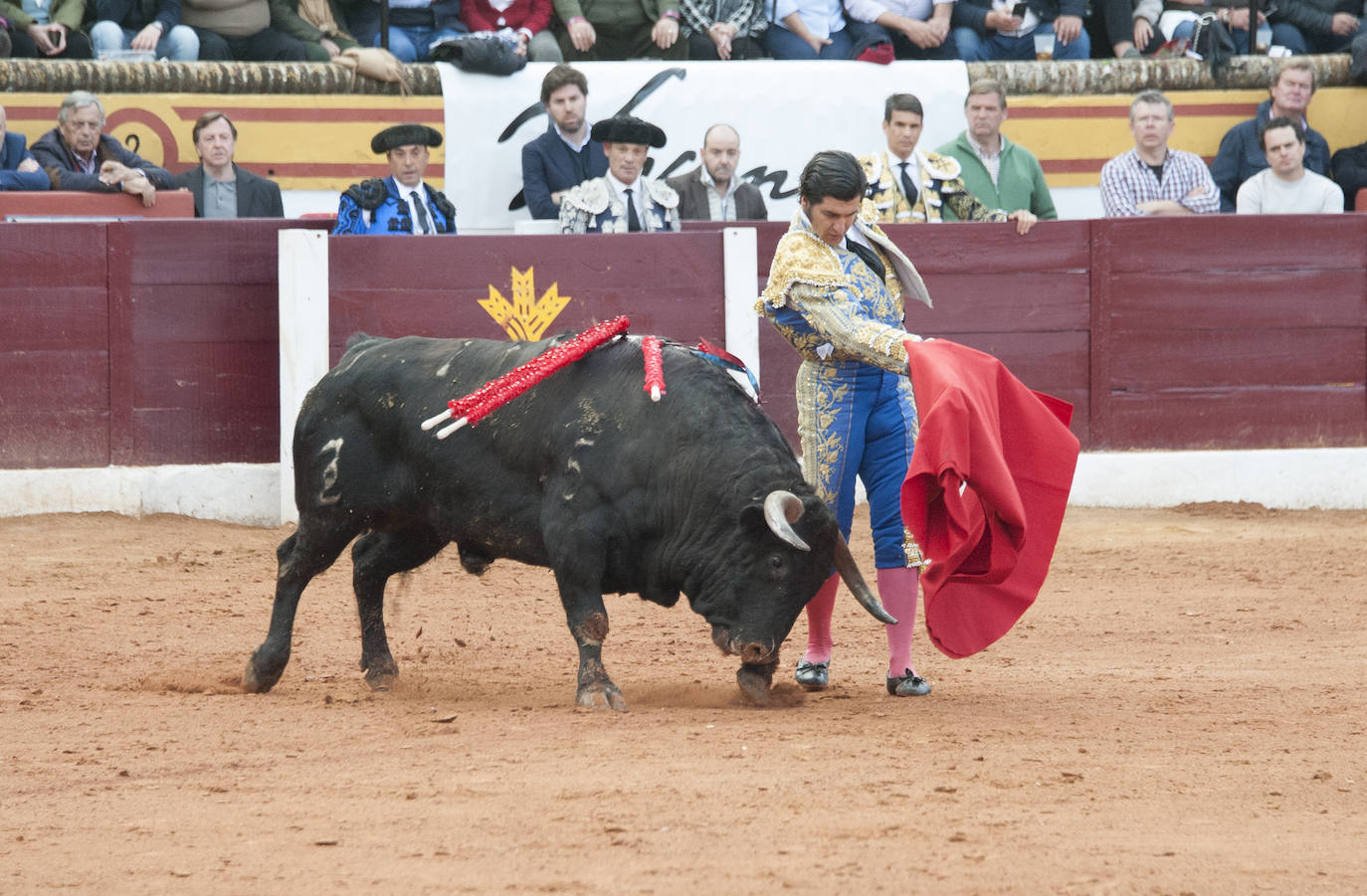 Fotos: Morante, Manzanares y Aguado, en el cuarto festejo de la feria de Olivenza