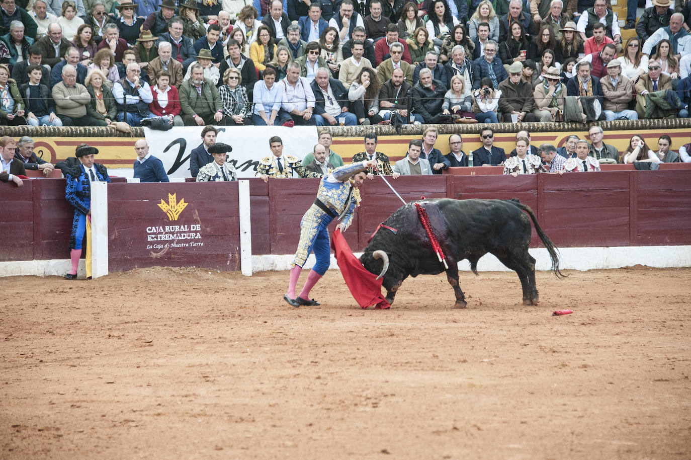 Fotos: Morante, Manzanares y Aguado, en el cuarto festejo de la feria de Olivenza