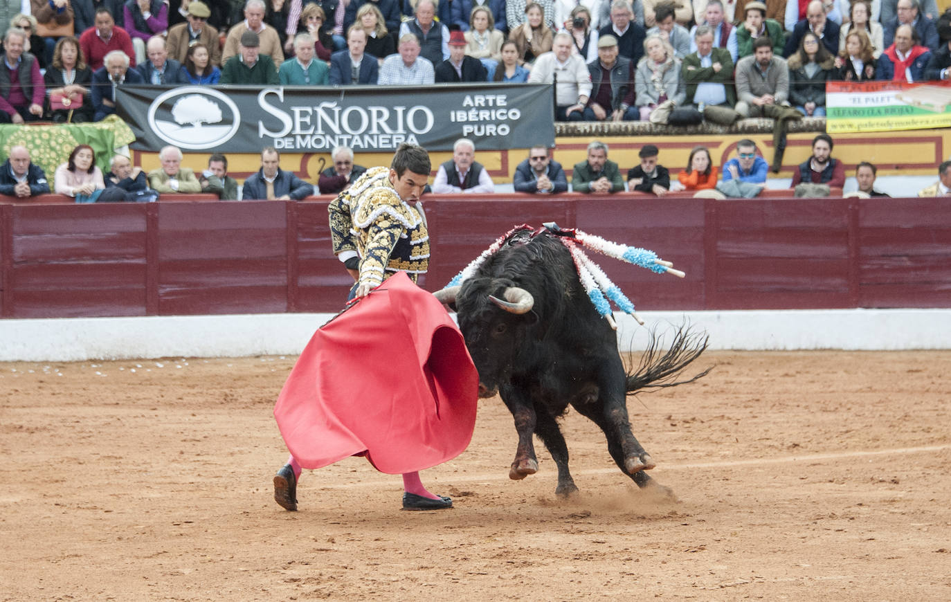 Fotos: Morante, Manzanares y Aguado, en el cuarto festejo de la feria de Olivenza