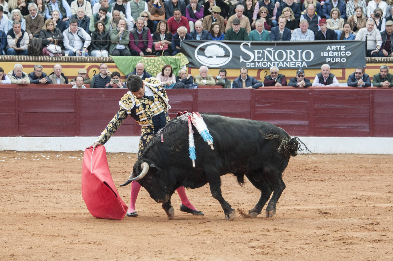 Fotos: Morante, Manzanares y Aguado, en el cuarto festejo de la feria de Olivenza