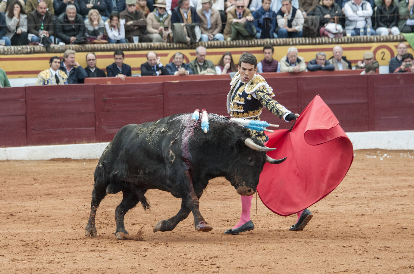 Fotos: Morante, Manzanares y Aguado, en el cuarto festejo de la feria de Olivenza