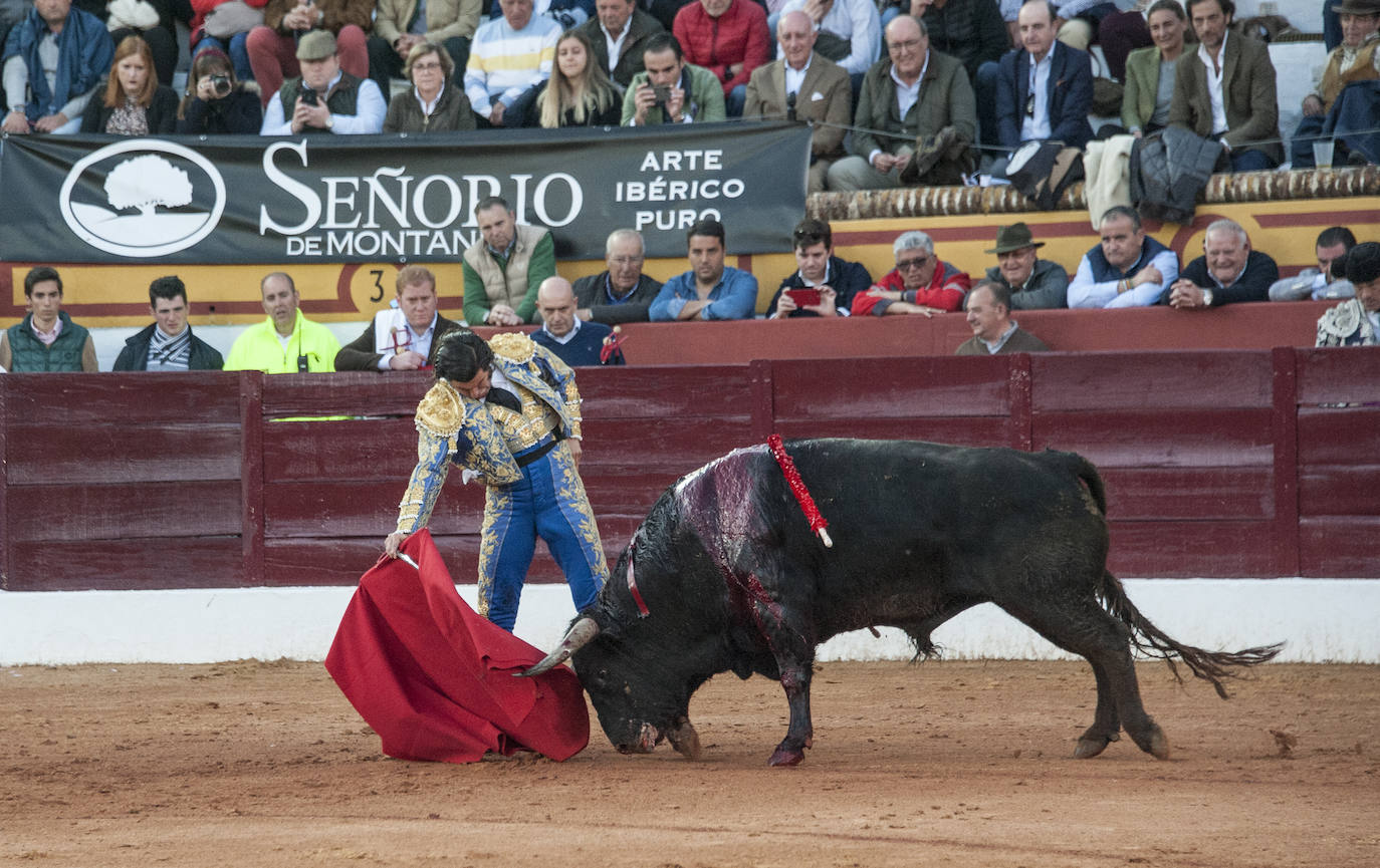 Fotos: Morante, Manzanares y Aguado, en el cuarto festejo de la feria de Olivenza