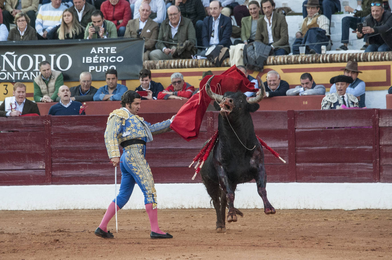 Fotos: Morante, Manzanares y Aguado, en el cuarto festejo de la feria de Olivenza