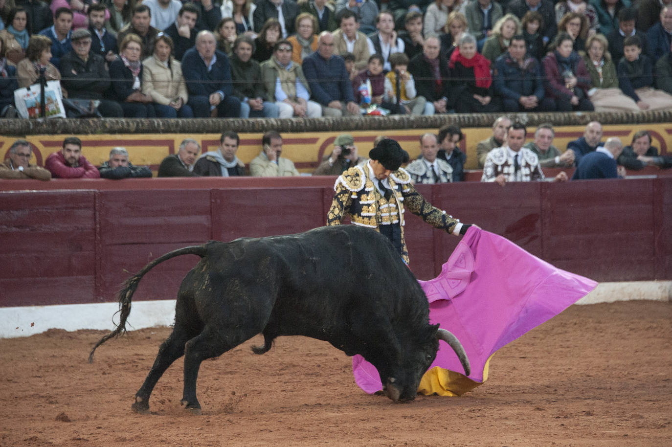 Fotos: Morante, Manzanares y Aguado, en el cuarto festejo de la feria de Olivenza