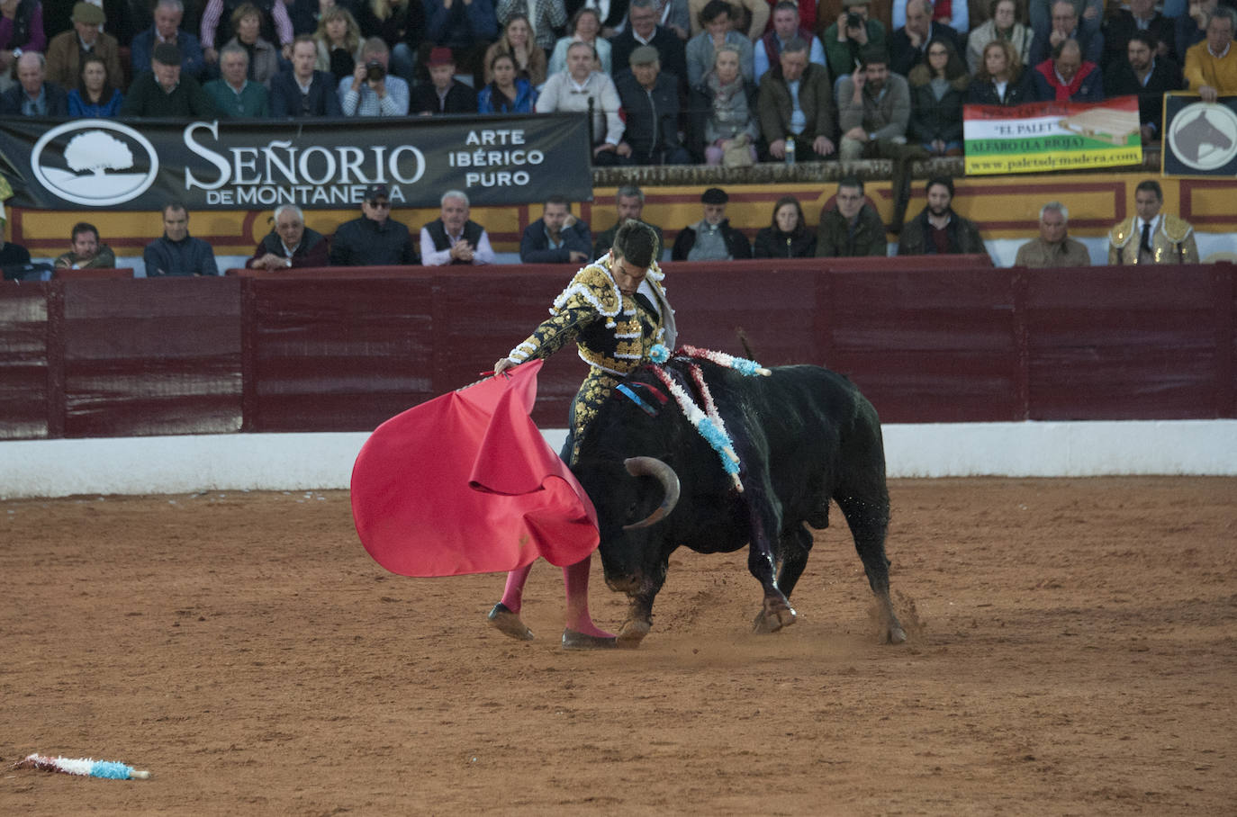 Fotos: Morante, Manzanares y Aguado, en el cuarto festejo de la feria de Olivenza