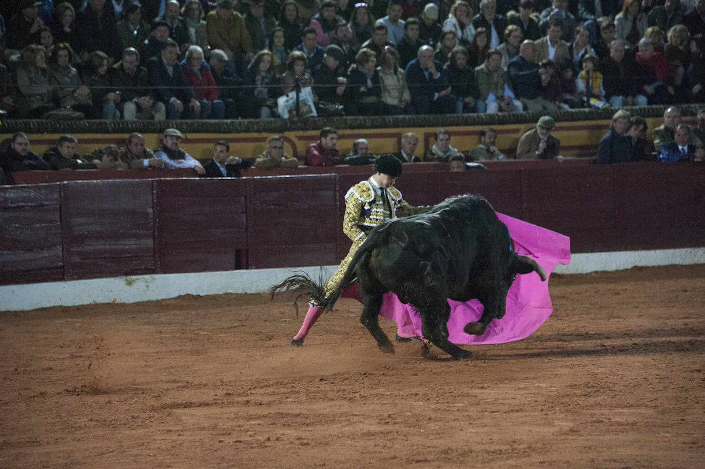 Fotos: Morante, Manzanares y Aguado, en el cuarto festejo de la feria de Olivenza